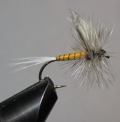 ���� ����� Dry fly  